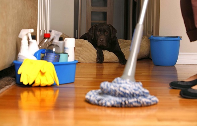 featured-image-232560