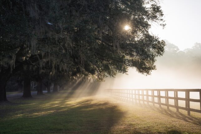 featured-image-290274