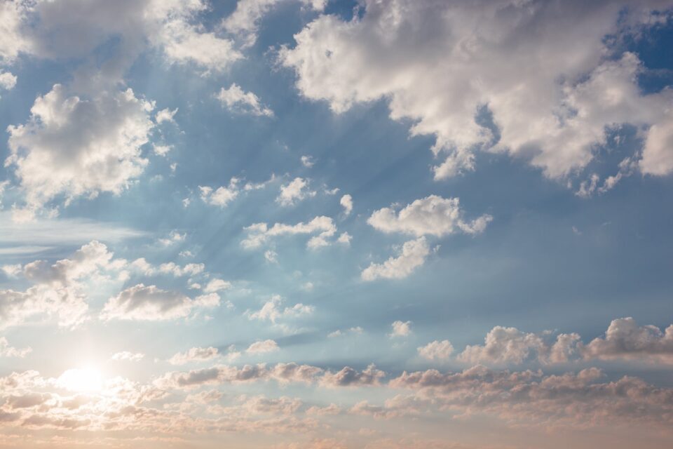 featured-image-305413