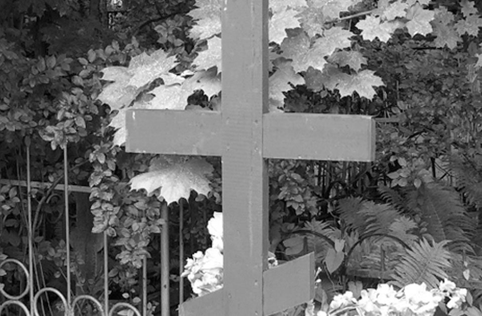 featured-image-306320