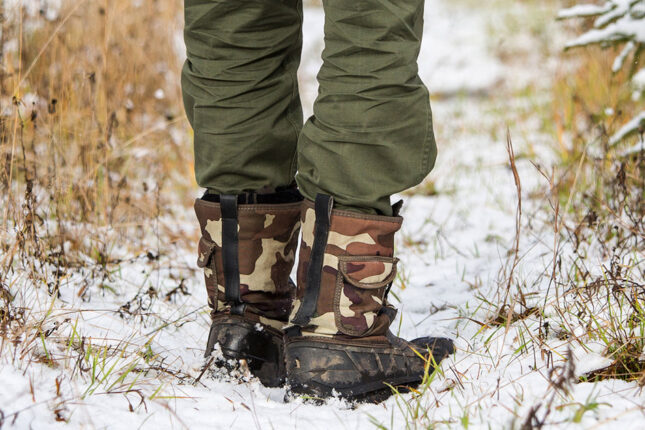 featured-image-306498