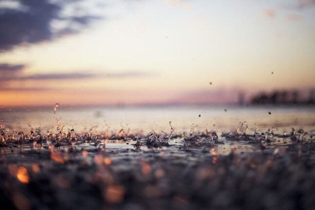 featured-image-309209