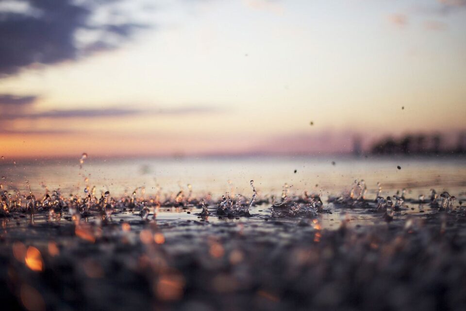 featured-image-309209