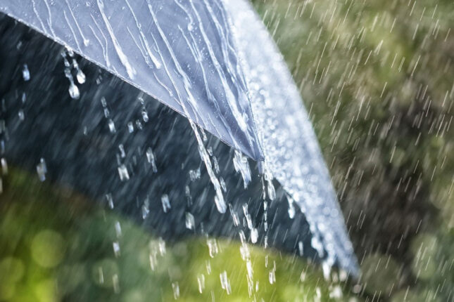 featured-image-310620