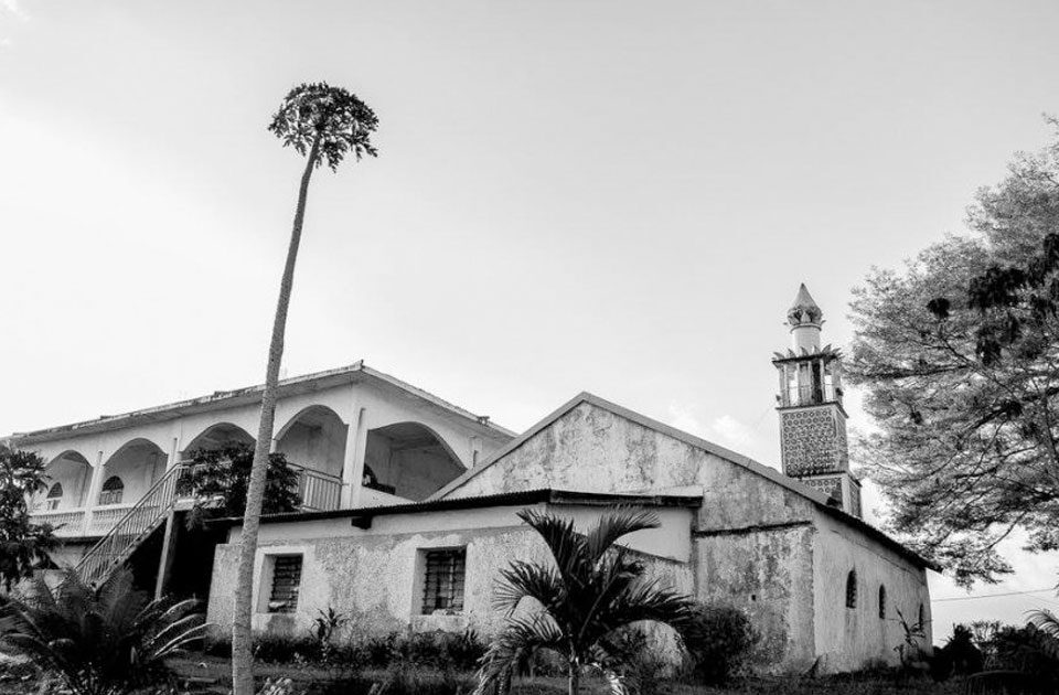 featured-image-318731