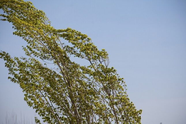 featured-image-382013
