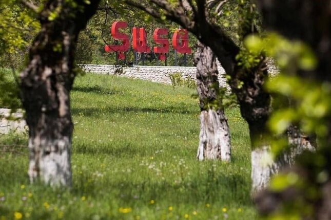 featured-image-382481