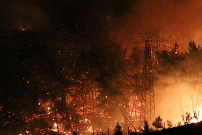 featured-image-382566