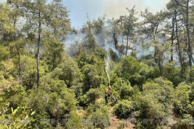 featured-image-382689