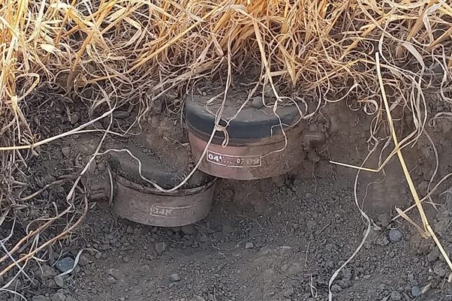 featured-image-385290