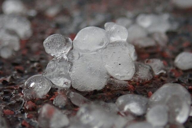 featured-image-387294