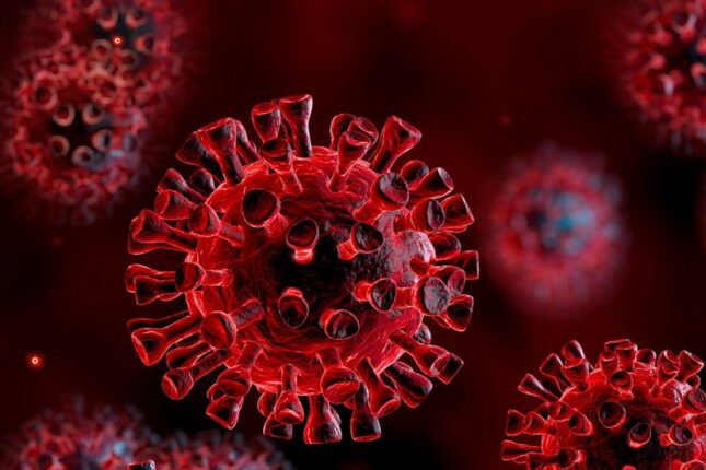 featured-image-387228