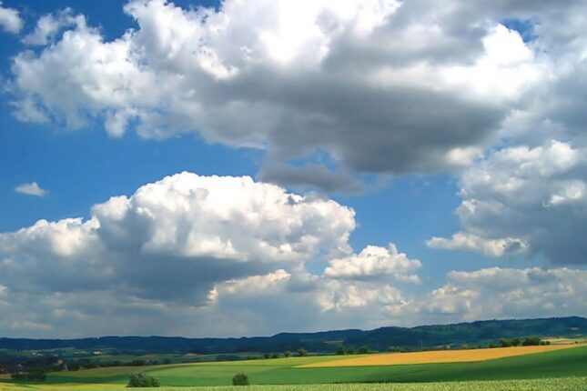 featured-image-385886