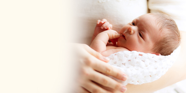 featured-image-390134