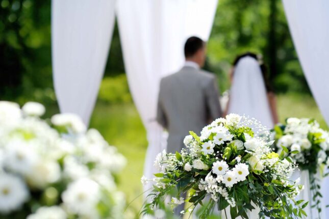 featured-image-396381