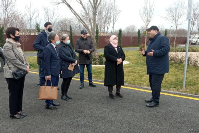 featured-image-399957