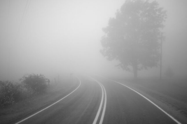 featured-image-402008