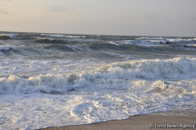 featured-image-406825