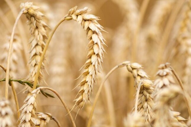 featured-image-410607