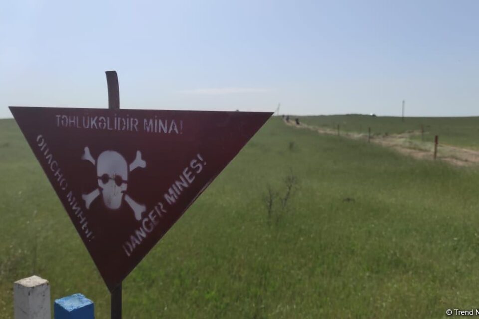 featured-image-427519