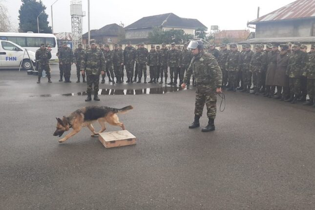 featured-image-435639