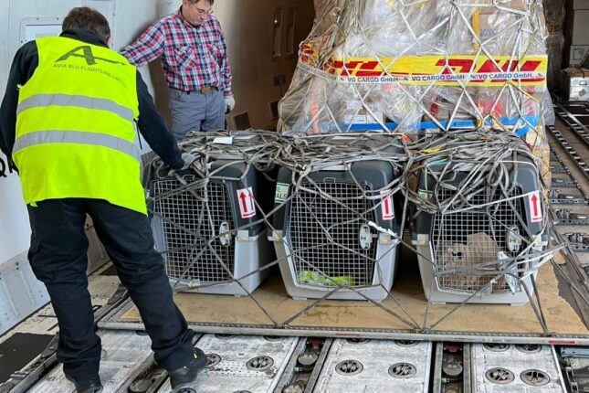 featured-image-440635