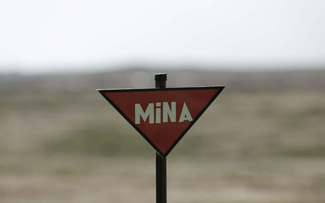 featured-image-443404