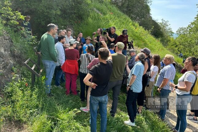 featured-image-447329