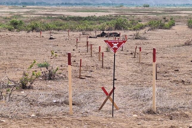 featured-image-449010