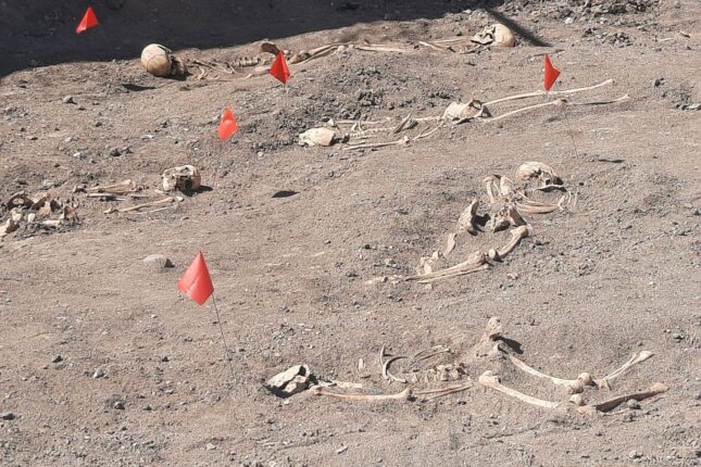 featured-image-457030