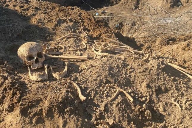 featured-image-460011