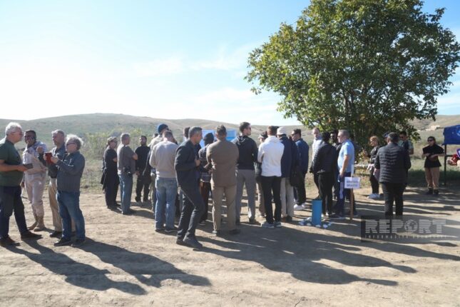 featured-image-464979