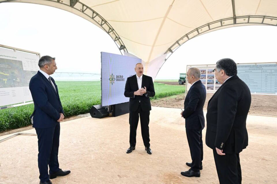 featured-image-479150