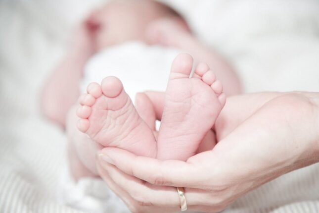 featured-image-479629