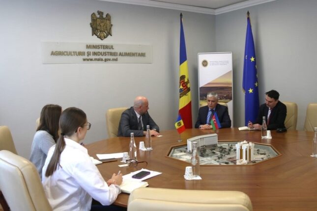 featured-image-479501