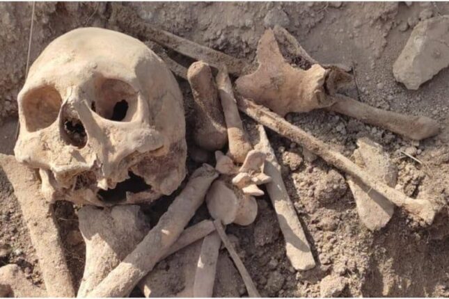 featured-image-481828