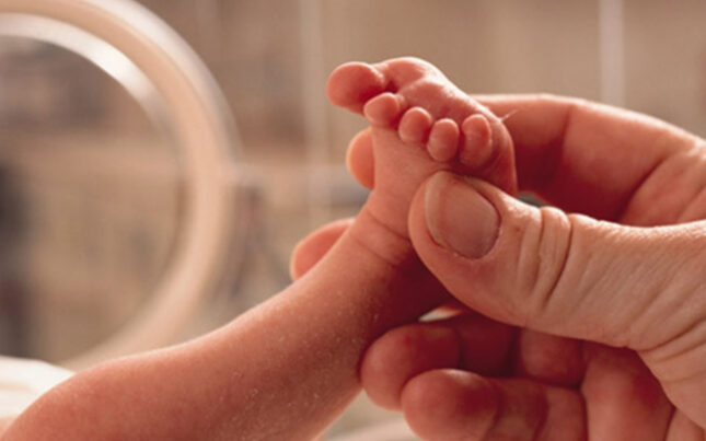 featured-image-500052