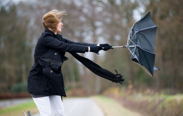 featured-image-513614