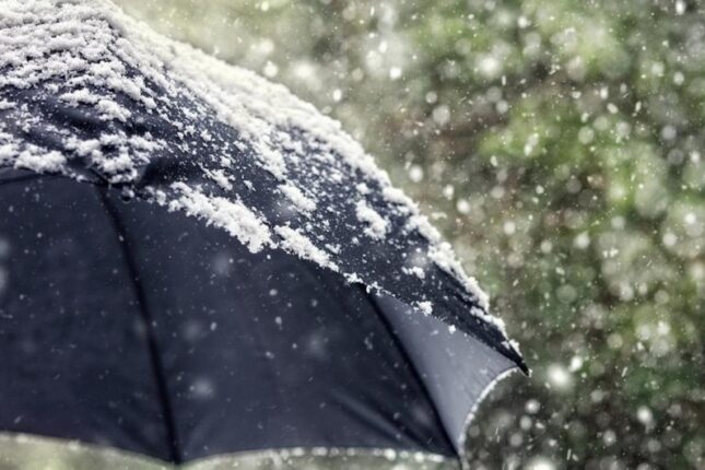 featured-image-514025