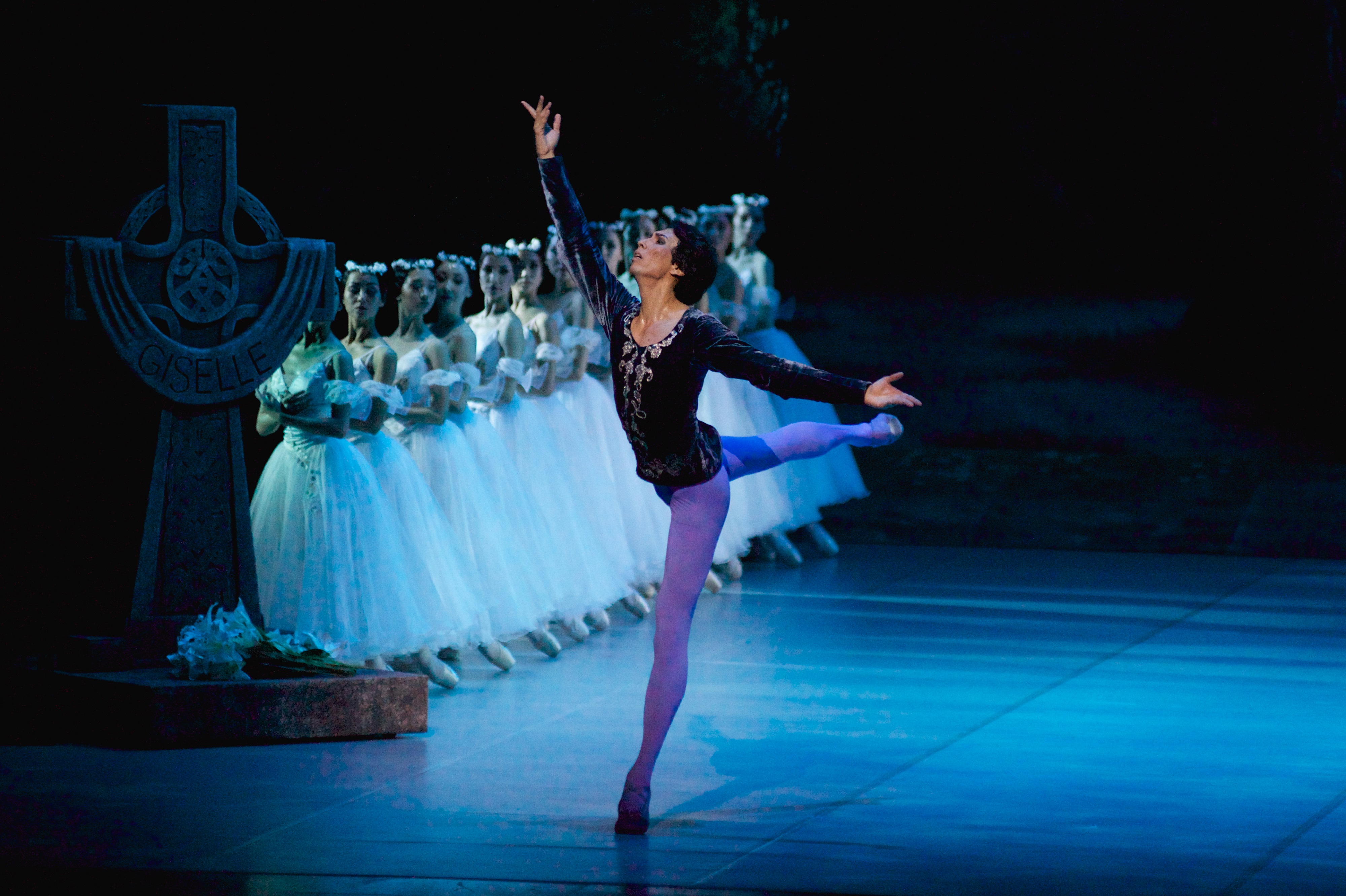 media-o-tarlanov-zhizel