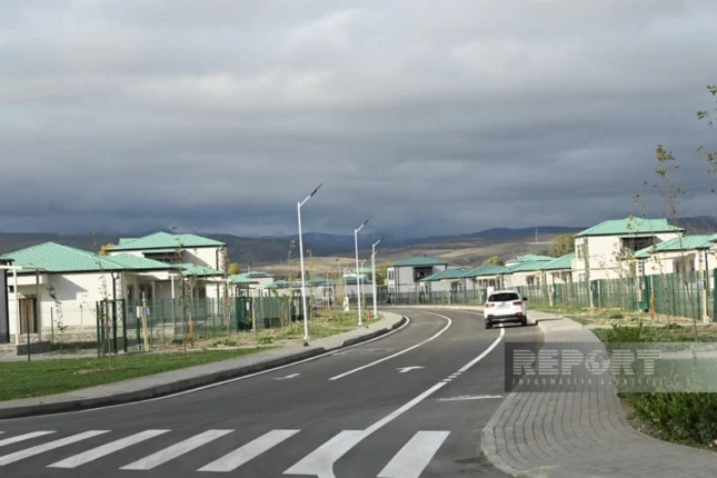 featured-image-554008