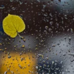 featured-image-557609