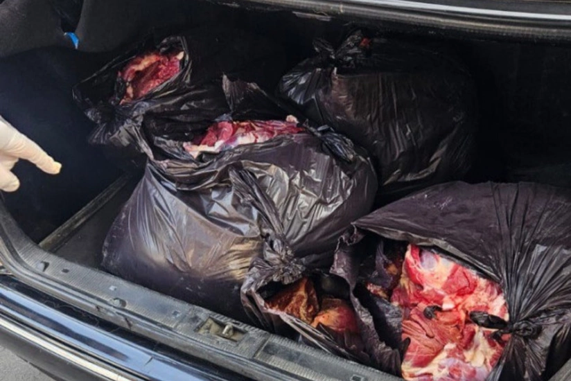 featured-image-556644