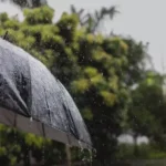 featured-image-557436