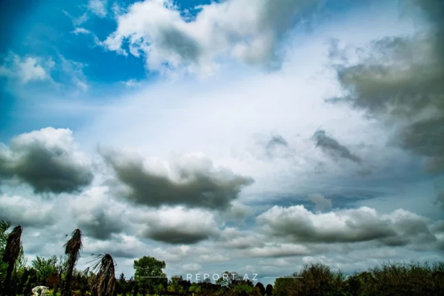 featured-image-556308