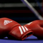 featured-image-557613