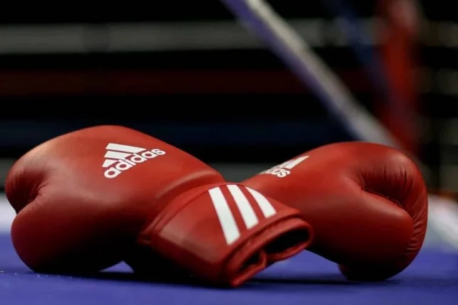 featured-image-557613