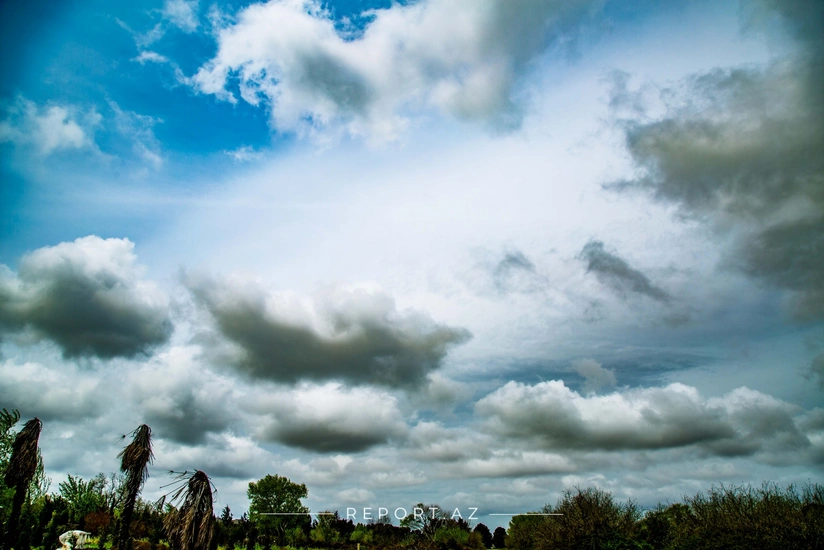 featured-image-557607