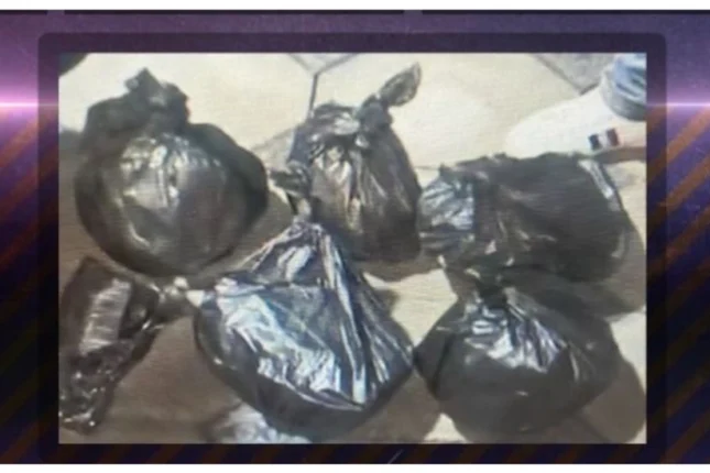 featured-image-555963