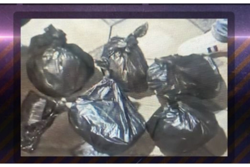 featured-image-555963